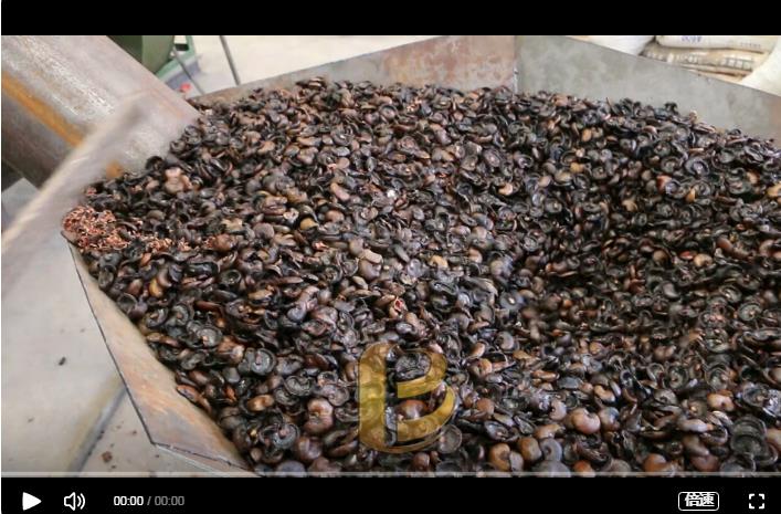 環保炭化設備炭化處理腰果外殼增加經濟效益